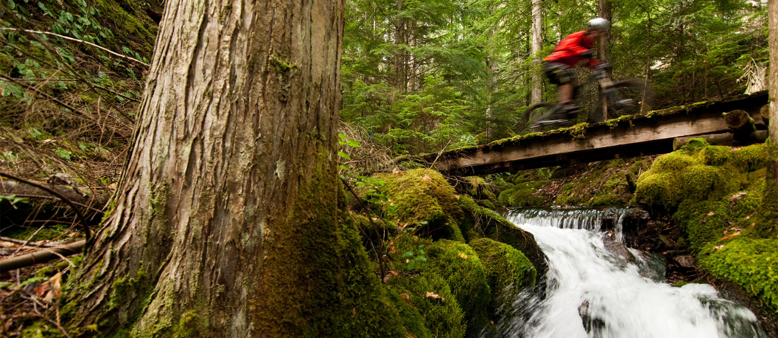 Mountain Station Trails | Nelson Kootenay Lake Tourism