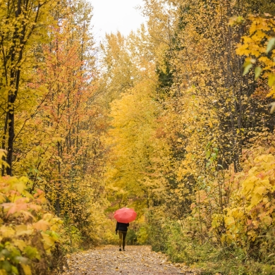 Touring App | Nelson Kootenay Lake Tourism