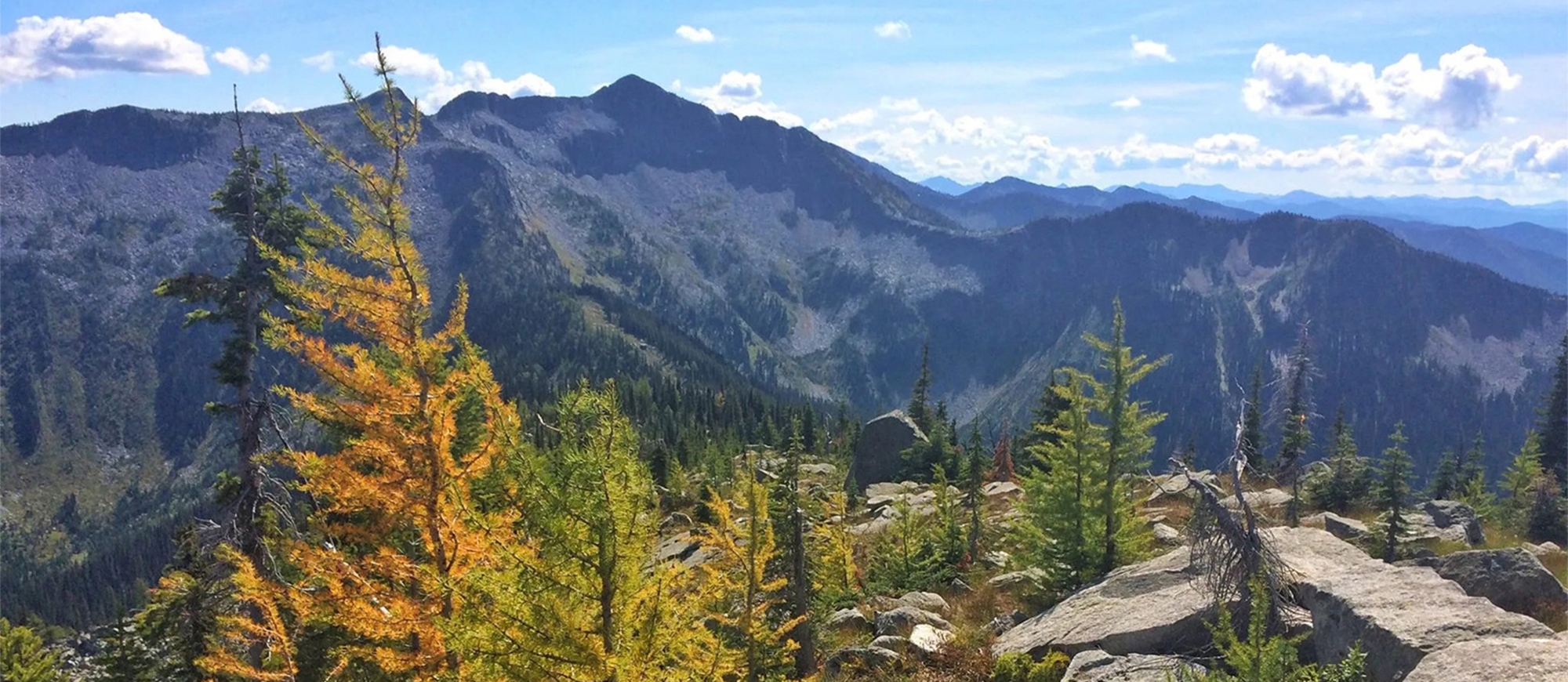 Mountain landscape, blue skies and larches.