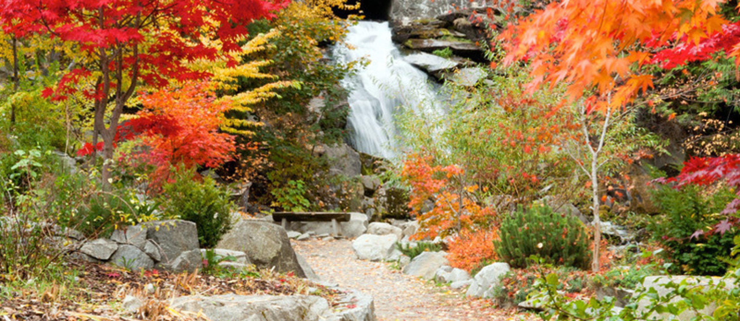 Cottonwood Falls Park | Nelson Kootenay Lake Tourism