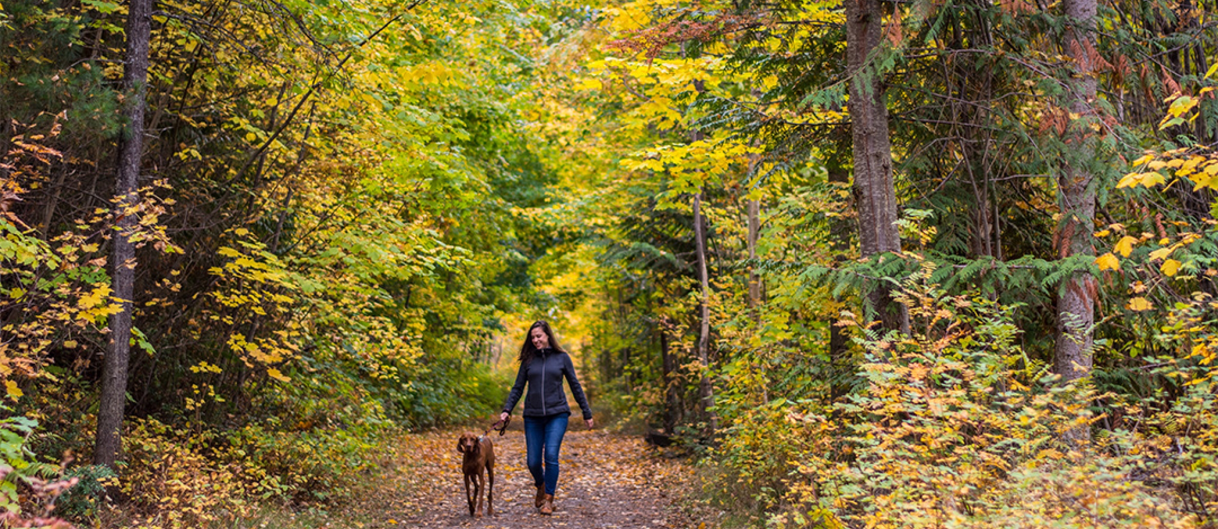 Great Northern Rail Trail  Nelson Kootenay Lake Tourism